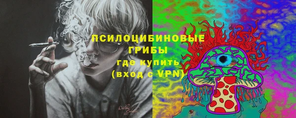 трава Беломорск
