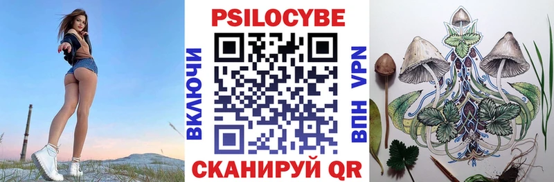 omg tor  Кущёвская  Псилоцибиновые грибы Cubensis 