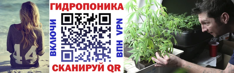 купить наркотики сайты Кущёвская Каннабис конопля
